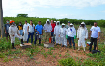Prefeitura realiza primeira oficina de apicultura em Lagoa de São Francisco