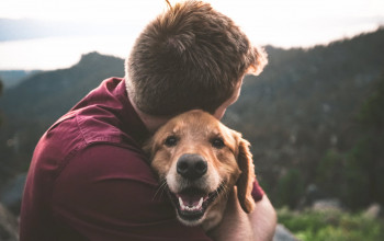 Ciência confirma que os cachorros podem sim sentir a emoção dos donos
