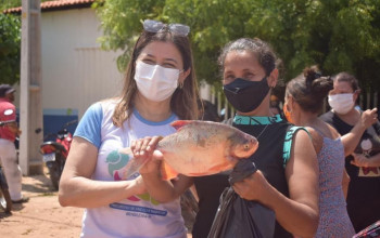 Prefeitura de Brasileira distribui 1 tonelada de peixe para famílias cadastradas no Bolsa-Família