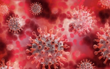 Parnaíba tem caso de reinfecção pelo coronavírus, diz infectologista